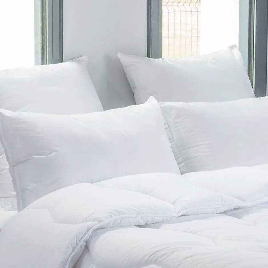 Blanreve Lot de 2 oreillers 45 x 70 cm Blanrêve Gamme "Douceur" traité Anti Acarien Outlet