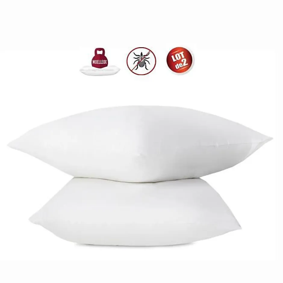 Abeil Lot de 2 oreillers anti-acariens - 60 x 60 cm - 100% coton traité Bio -