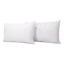 Bellecour Lot de 2 oreillers Chambord 40x60 cm Duvet & Plumes