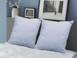 Dodo Lot de 2 oreillers naturels fermes plumettes - 60x60 cm - MERIBEL Sale