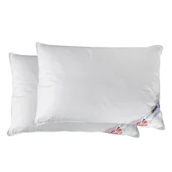 Homescapes Lot de 2 oreillers en microfibre, 50 x 75 cm - Discount