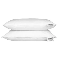 Homescapes Lot de 2 oreillers en plumes et duvet d'oie, 50 x 75 cm -