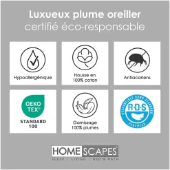 Homescapes Lot de 4 oreillers en plumes de canard, 50 x 75 cm - Clearance