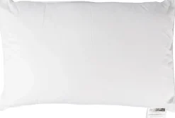 Homescapes Lot de 2 oreillers en soie de mûriers, 50 x 75 cm - Online