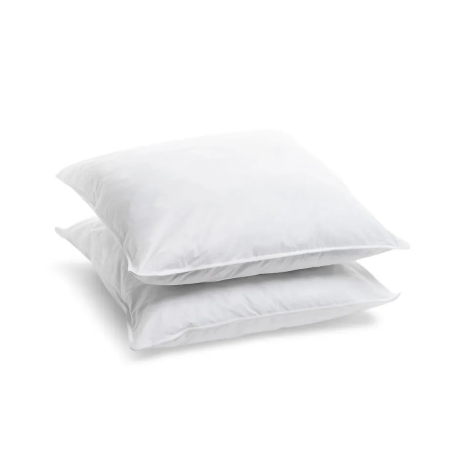 Bleu Calin Lot de 2 Oreillers Ferme 60x60cm
