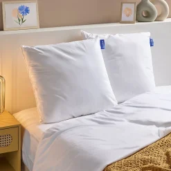 Bleu Calin Lot de 2 Oreillers Ferme 60x60cm COTON BIO