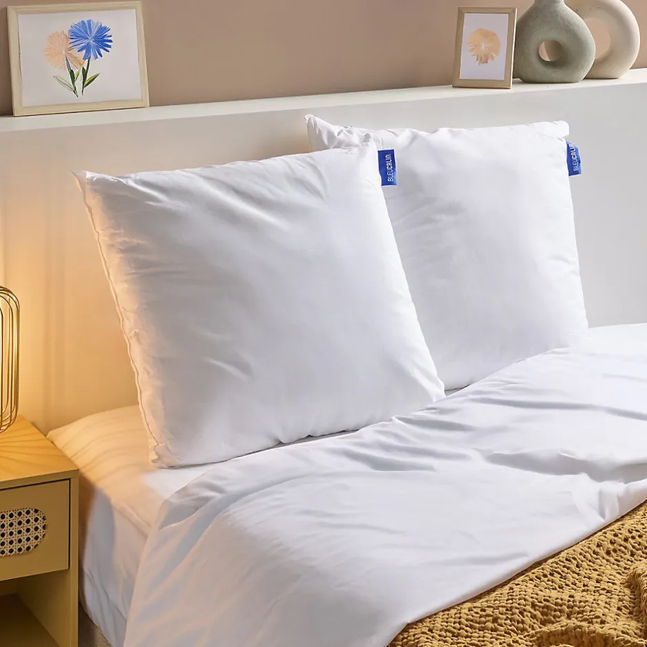 Bleu Calin Lot de 2 Oreillers Ferme 60x60cm COTON BIO