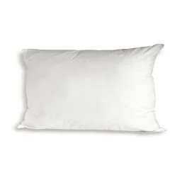 Bellecour Lot de 2 oreillers Luxotel 40x60 cm Fibres creuses polyester