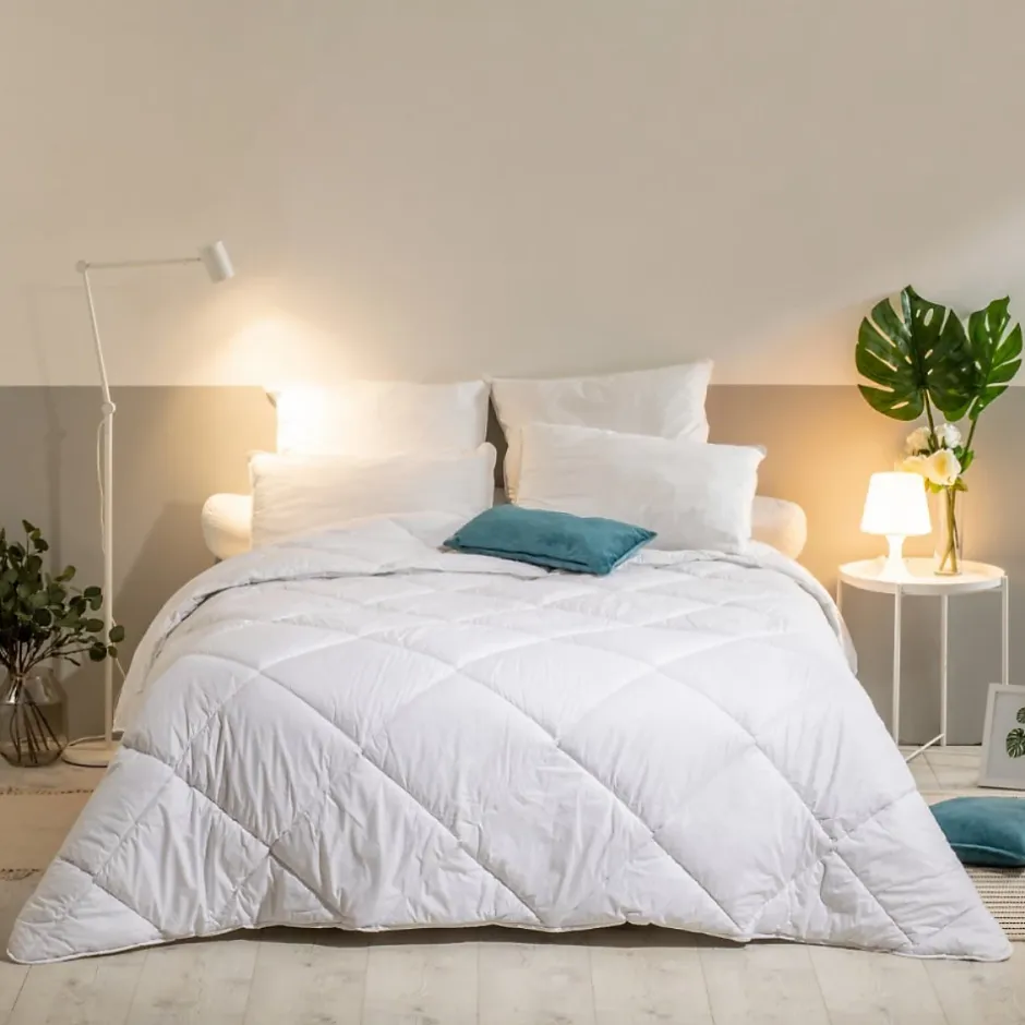 Bleu Calin Lot de 2 Oreillers Mémoire de Forme Mixte ANTI-ACARIENS 60x60cm Discount