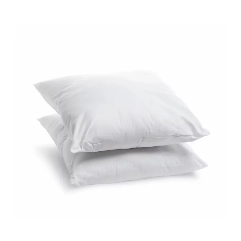Bleu Calin Lot de 2 Oreillers Moelleux 60x60cm LAVABLE À 95 C Discount