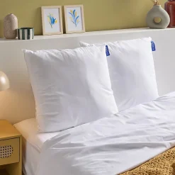 Bleu Calin Lot de 2 Oreillers Moelleux 60x60cm COTON BIO Clearance