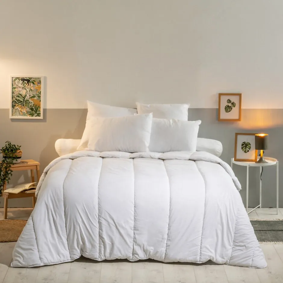 Bleu Calin Lot de 2 Oreillers Moelleux 60x60cm Anti punaises DE LIT