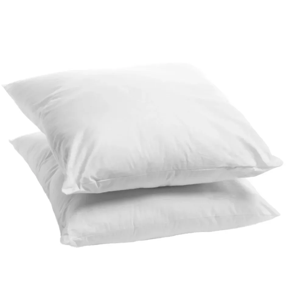 Bleu Calin Lot de 2 Oreillers Moelleux 60x60cm ANTI-ACARIENS Hot