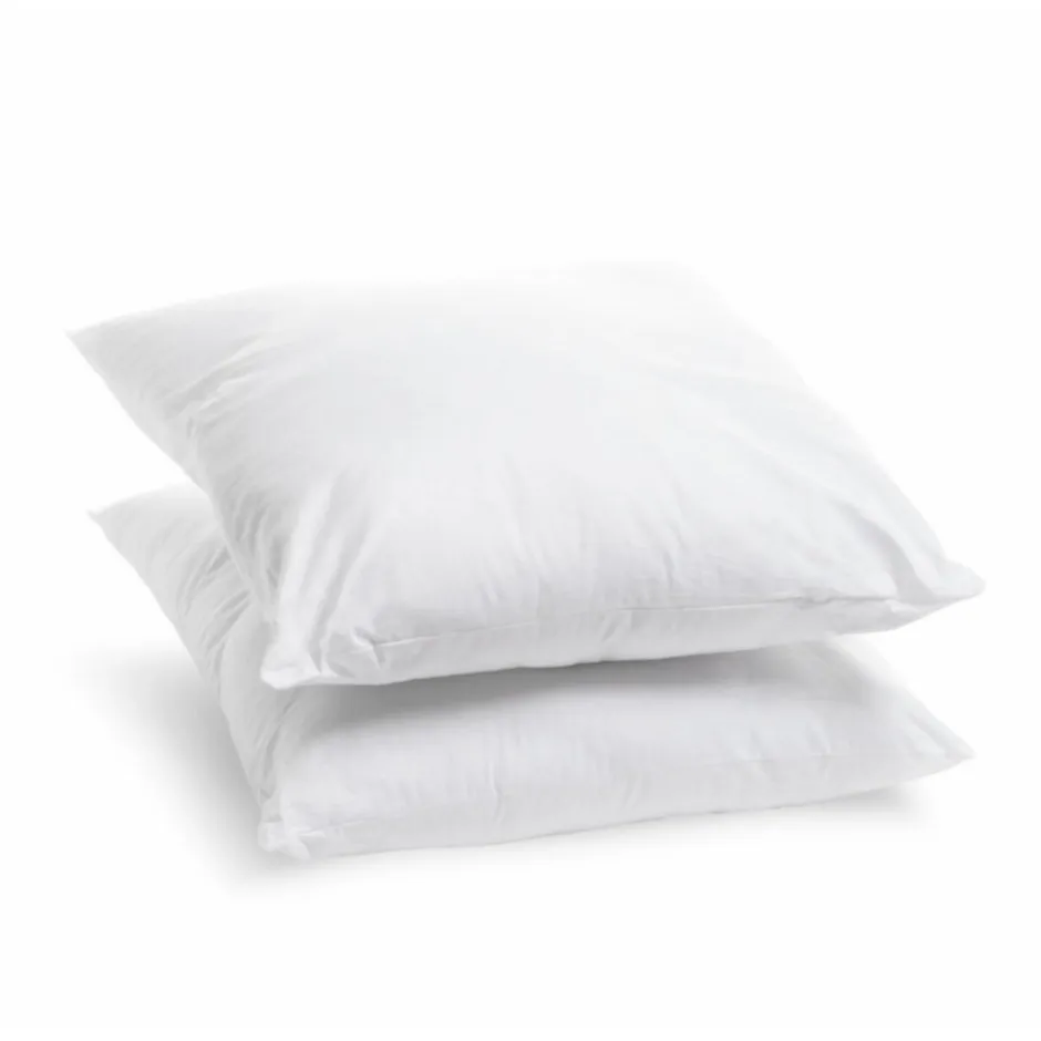 Bleu Calin Lot de 2 Oreillers Moelleux 60x60cm ANTI-TRANSPIRATION TOPCOOL