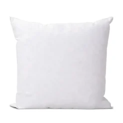 Olympe Literie Lot de 2 oreillers Natura 65x65 cm Duvet & Plumess