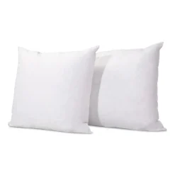 Olympe Literie Lot de 2 oreillers Natura 60x60 cm Duvet & Plumess