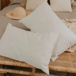 Olympe Literie Lot de 2 oreillers Natura 60x60 cm Duvet & Plumess