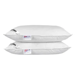 Homescapes Lot de 2 oreillers naturels en plumes et duvet de canard, 50 x 75 cm - Outlet