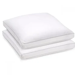 Bleu Calin Lot de 2 oreillers Souple 65x65cm SENSATION DUVET PREMIUM Gonflant New