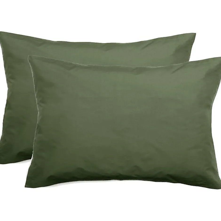 Vent Du Sud Lot de 2 taies d'oreiller percale pur coton peigné longues fibres 80 fils/cm² - Mousse - Lot de 2 taies d'oreiller 50 Sale
