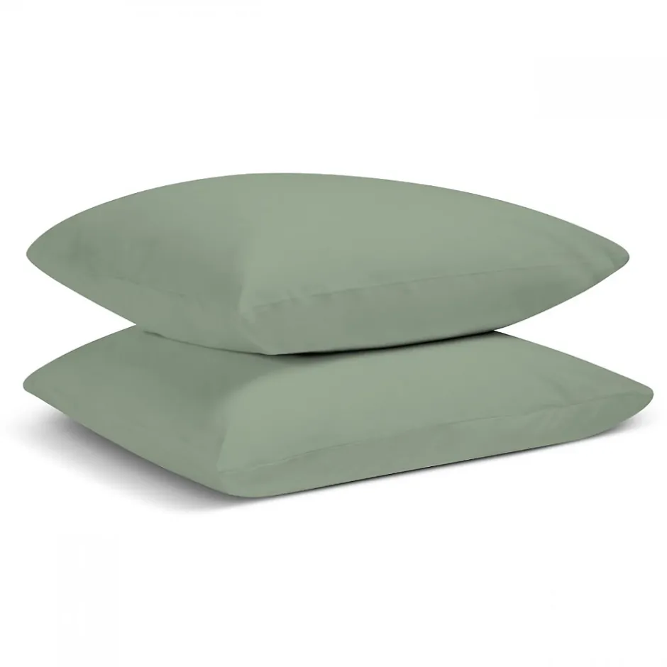 Bleu Calin Lot de 2 Taies d'oreiller unies 50x75cm PERCALE SAUGE Outlet
