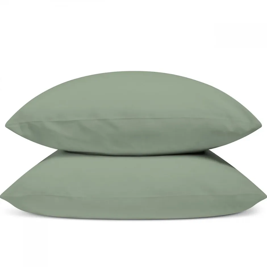 Bleu Calin Lot de 2 Taies d'oreiller unies 50x75cm PERCALE SAUGE Outlet
