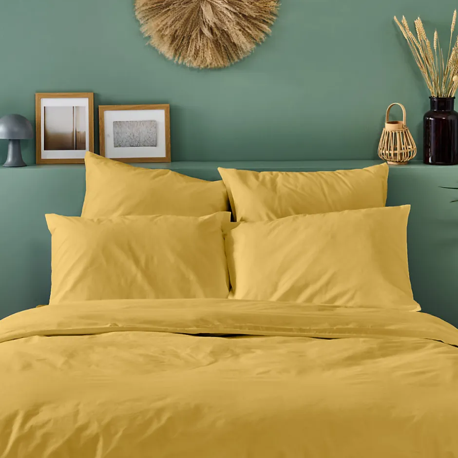Bleu Calin Lot de 2 Taies d'oreiller unies 50x75cm PERCALE MOUTARDE