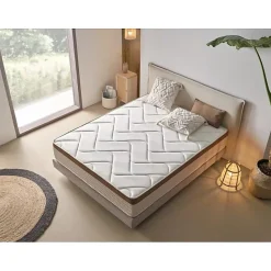 Eccox Matelas à mémoire de forme - BIO CONFORT - 70x190 cm - 25 cm d'épaisseur - Anti-acarien - Silencieux