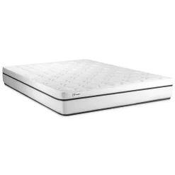 Vitalit Matelas Mousse polyuréthane à mémoire de forme - Confort : Ferme Best