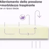 Teeno Matelas en mousse 160x200 cm - 25 cm de hauteur Discount
