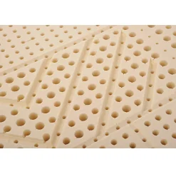 Essenzia Matelas MORPHOZONE 180 160x200 Latex