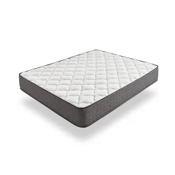 Eccox Matelas 105x190 cm en Mousse à Mémoire de Biothérapie epaisseur 30 cm +/-2 Fermeté moyenne-élevée. Online