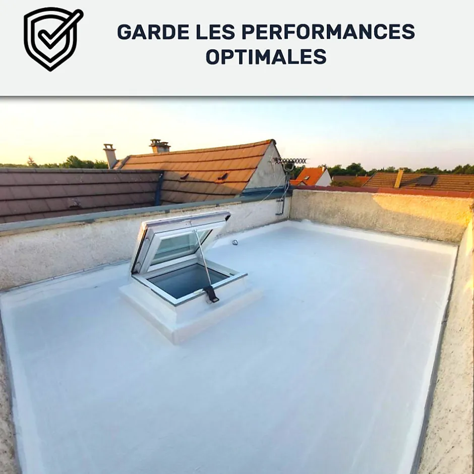 Arcane Industries Nettoyant pour résine d'échanchéité, Cool Roof - 1 L -