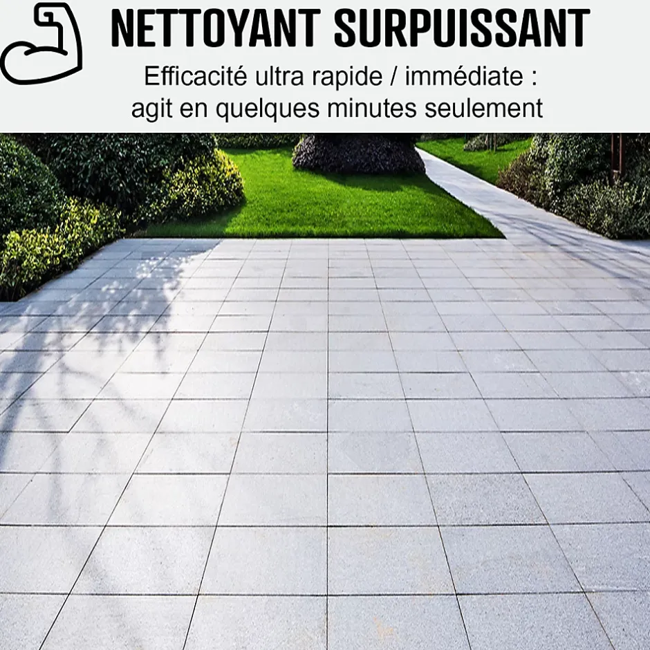 Arcane Industries Nettoyant terrasse professionnel rapide pavé autobloquant pierre béton - 200 L - Clearance