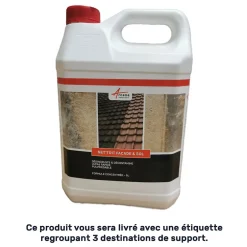 Arcane Industries Nettoyant terrasse professionnel rapide pavé autobloquant pierre béton - 20 L -