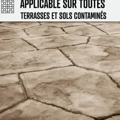 Arcane Industries Nettoyant terrasse professionnel rapide pavé autobloquant pierre béton - 20 L -