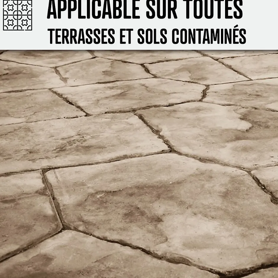 Arcane Industries Nettoyant terrasse professionnel rapide pavé autobloquant pierre béton - 20 L -
