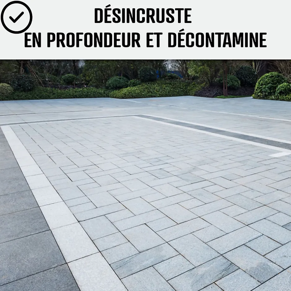 Arcane Industries Nettoyant terrasse professionnel rapide pavé autobloquant pierre béton - 20 L -