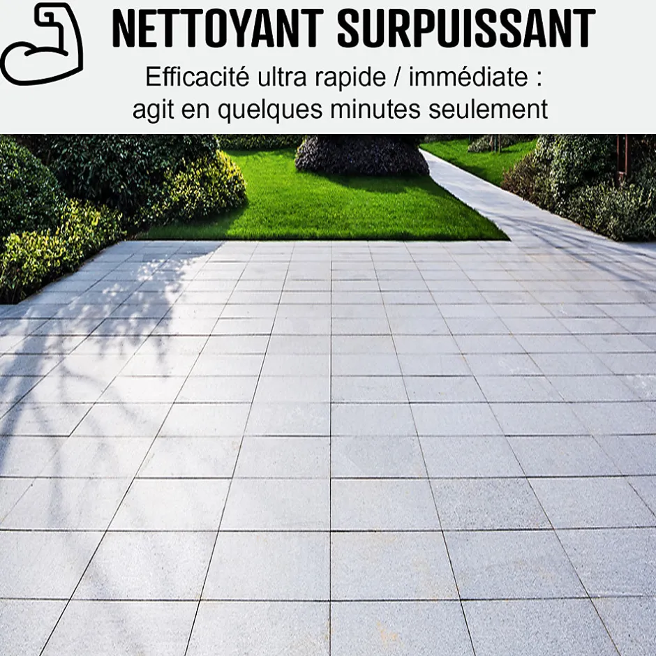 Arcane Industries Nettoyant terrasse professionnel rapide pavé autobloquant pierre béton - 20 L -