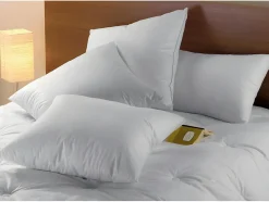 Dodo Oreiller Naturel Duvet - 65x65 cm - BAFFIN
