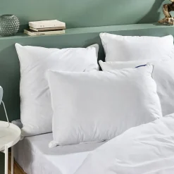 Bleu Calin Oreiller Duvet Moelleux 60x60cm 90% DUVET DE CANARD
