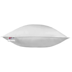 Homescapes Oreiller en microfibre 80 x 80 cm -