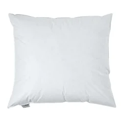 Homescapes Oreiller en plumes de canard 60 x 70 cm, lot de 2 -