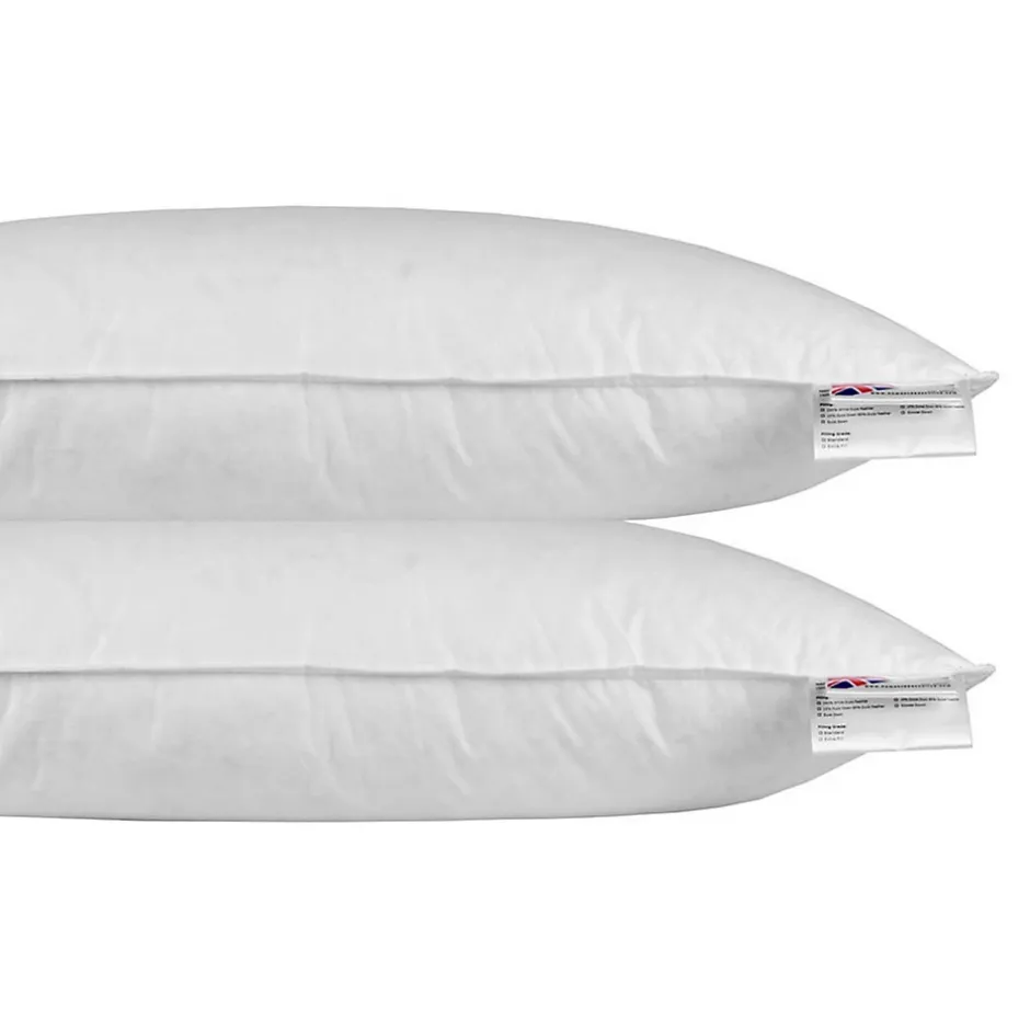 Homescapes Oreiller en plumes et duvet d'oie 40 x 80 cm - lot de 2 - New