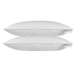 Homescapes Oreiller en plumes et duvet d'oie 40 x 80 cm - lot de 2 - New