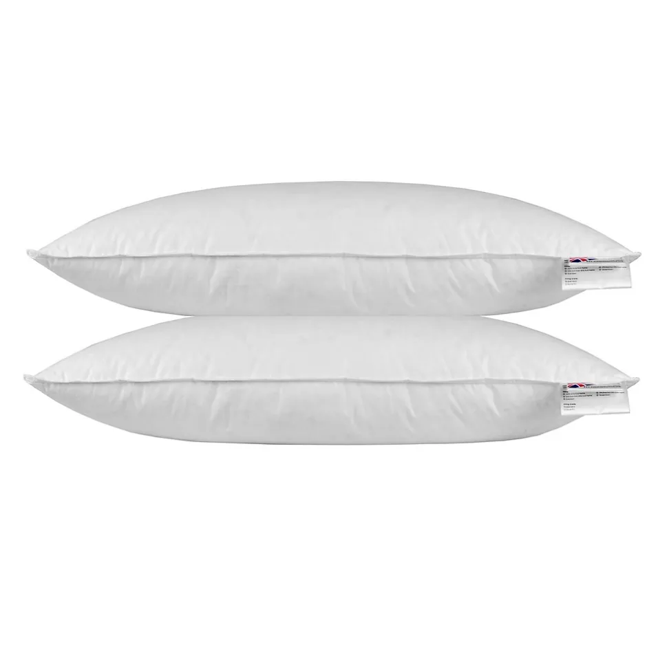 Homescapes Oreiller en plumes et duvet d'oie 40 x 80 cm - lot de 2 - New