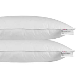 Homescapes Oreiller en plumes et duvet de canard 40 x 80 cm - lot de 2 -