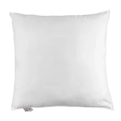 Homescapes Oreiller en plumes et duvet d'oie 80 x 80 cm - lot de 2 - Outlet