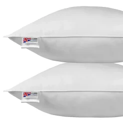 Homescapes Oreiller en plumes et duvet d'oie 80 x 80 cm - lot de 2 - Outlet