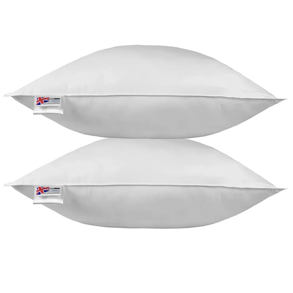 Homescapes Oreiller en plumes et duvet d'oie 80 x 80 cm - lot de 2 - Outlet